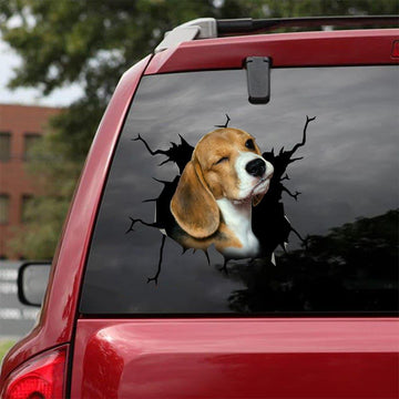 Funny Beagle Cracked Car Beagle Lovers - Decal