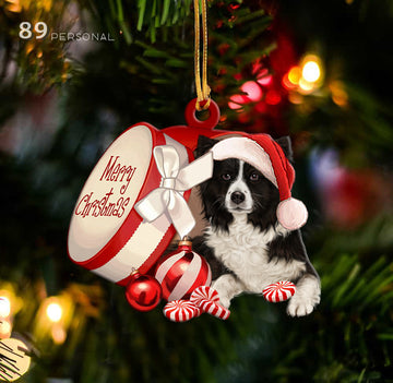 Border collie out of Merry Christmas box - Shaped two sides ornament
