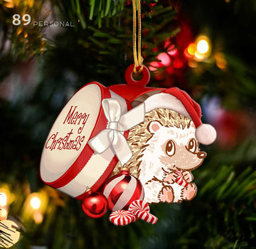 Hedgehog out of Merry Christmas box - Shaped two sides ornament
