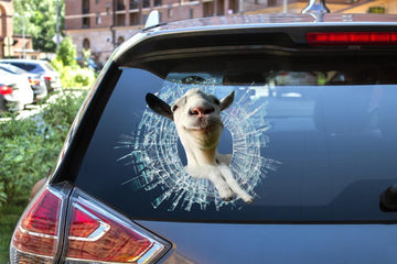 Goat broken glass goat lovers decal