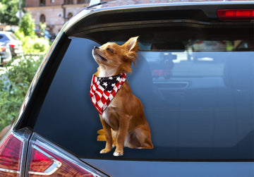 Chihuahua proud chihuahua lovers  decal