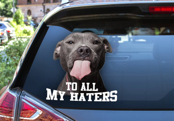 Pitbull to my haters  pitbull lover  decal