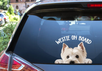 West Highland White Terrier on board  westie lovers - Decal