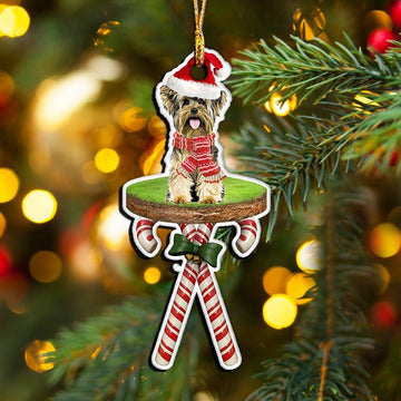 Yorkshire Terrier Sitting on Christmas candy cane round - Shaped ornament