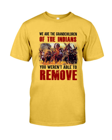 We are the grandchildren of the Indians you weren't able to remove - Standard T-shirt