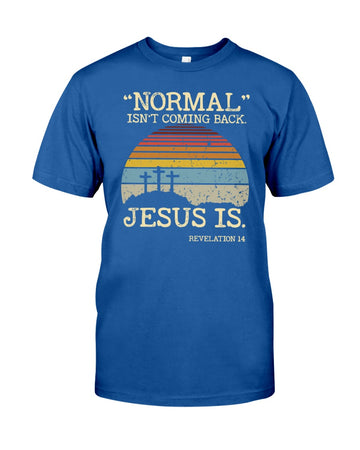 Normal isn't coming back Jesus is vintage - Standard T-shirt