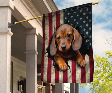 dachshund 5 Dog American Patriot Flag Independence Day - House Flag